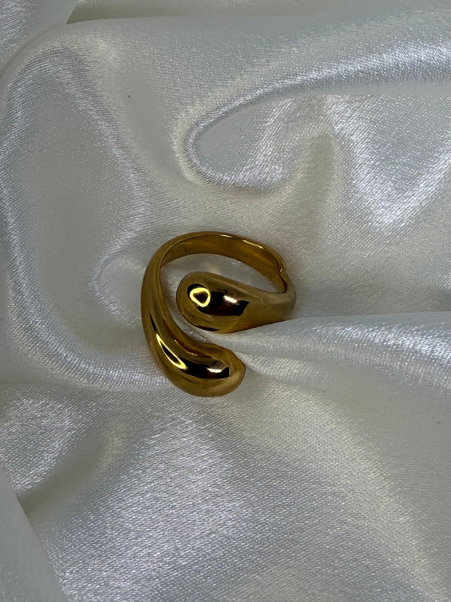 Double Twist Ring