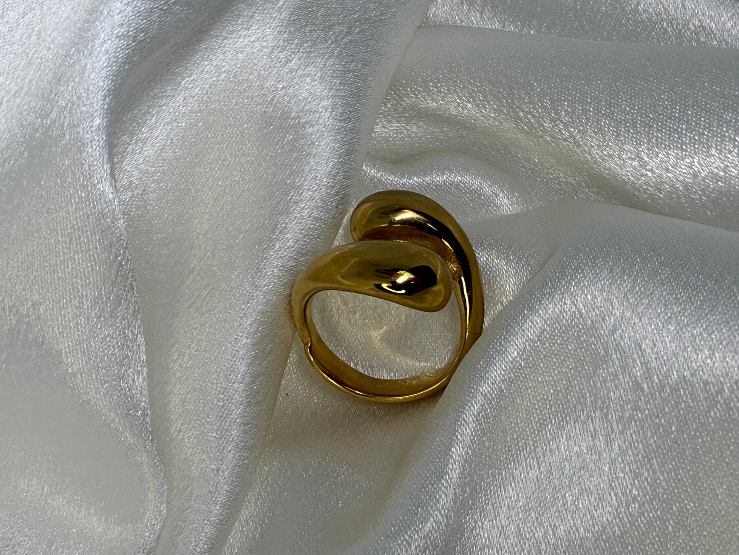 Double Twist Ring