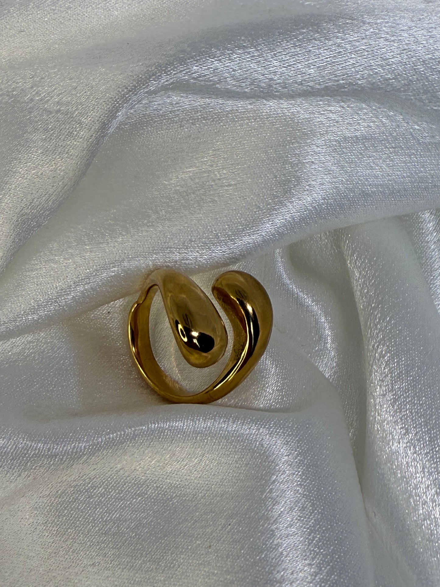 Double Twist Ring