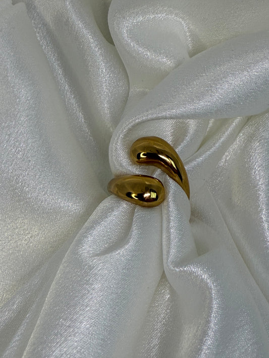 Double Twist Ring