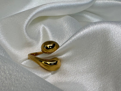 Double Twist Ring