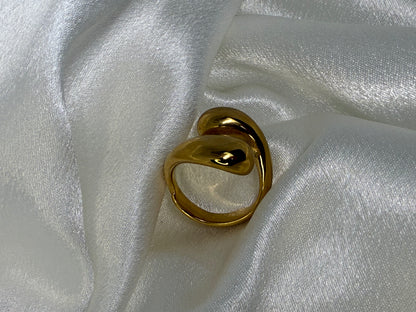 Double Twist Ring