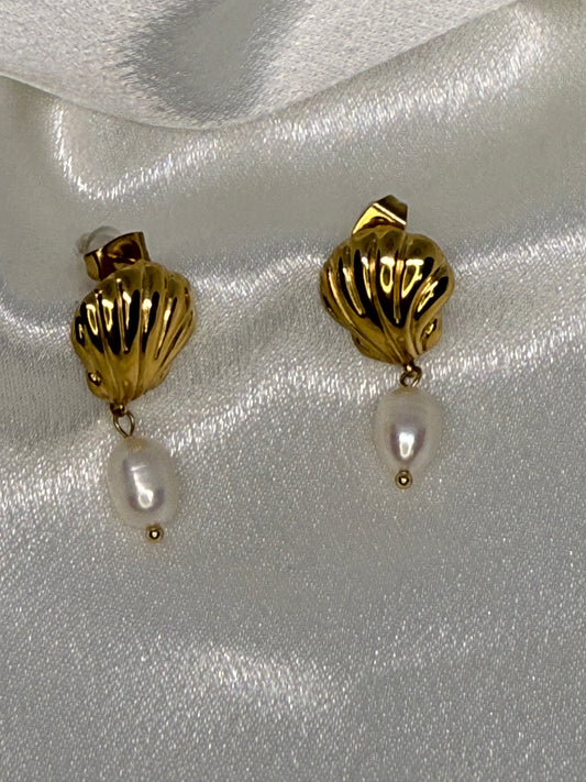 Shell Earring