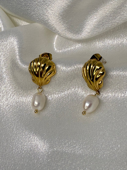 Shell Earring